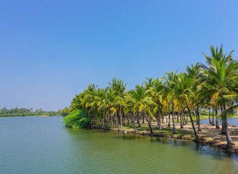 Paradise Beach (Pondicherry)